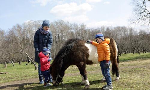 Lázár Lovaspark húsvét