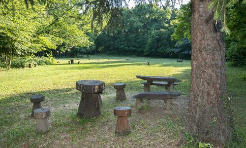 Gödöllői Arbo-park